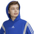Sudadera adidas Colorblock Hoodie Infantil Azul
