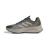 Zapatillas de Trail adidas Terrex Soulstride Flow Gtx Hombre Gris