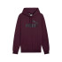 Sudadera Casual Puma Ess Big Logo Hombre