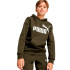 Sudadera Casual Puma Ess Big Logo Fl Niño