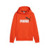 Sudadera Casual Puma Essentials + 2 Col Big Logo Fl Niño
