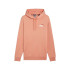 Sudadera Casual Puma Essentials + 2 Col Small Logo Fl Hombre
