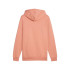 Sudadera Casual Puma Essentials + 2 Col Small Logo Fl Hombre