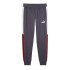Pantalón Casual Puma Puma Power Colorblock Sweatpants Fl Cl Hombre