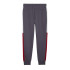 Pantalón Casual Puma Puma Power Colorblock Sweatpants Fl Cl Hombre