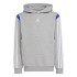 Sudadera adidas Colorblock Infantil Gris