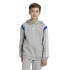 Sudadera adidas Colorblock Infantil Gris