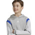 Sudadera adidas Colorblock Infantil Gris