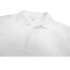 Polo Sportswear Champion Manga Corta