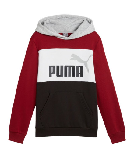 Sudadera Puma Essentials Block Hoodie Fl Niño