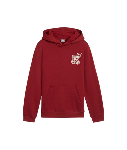 Sudadera Puma Essentials+ Mid 90S Hoodie Fl Niño