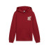 Sudadera Puma Essentials+ Mid 90S Hoodie Fl Niño