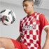Camiseta de Fútbol Puma Girona Home Jersey Replica Hombre