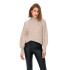 Sudadera Only Onlcelina Ls High Birch Mujer
