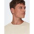Jersey Only & Sons wyler Life Reg 14Crew Silver Lining Hombre