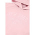 Sudadera Champion Hooded Sweatshirt Hombre Rosa