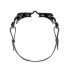 Gafas de natación Zoggs Vision Black Black