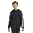 Sudadera adidas Colorblock  Infantil Negro