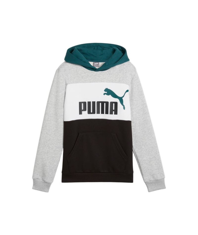 Sudadera Casual Puma Essentials Block Hoodie Fl...