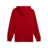 Sudadera Casual Puma Power Graphic Hoodie Fl Hombre