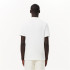 Polo Lacoste Chemise Col Bord-Cotes Hombre Blanco