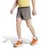 Pantalones de Trail adidas Terrex Agravic Trail Running Hombre Carbón