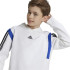 Sudadera adidas Colorblock Hoodie Infantil Blanco