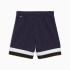 Pantalones de Fútbol Puma individualRISE Azul Infantil