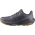 Zapatillas Salomon Elixir Tour Wp9 Mujer Gris