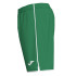Short Joma Liga Hombre Verde-Blanco
