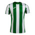 Camiseta de Fútbol Joma Manga Corta Inter Classic Hombre/Niño Verde Blanco