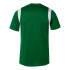 Camiseta Joma Dinamo Hombre Verde