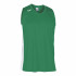 Camiseta Joma Cancha III Hombre / Niño Verde-Blanco