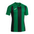 Camiseta Manga Corta Joma Pisa II Hombre/Niño Verde Negro
