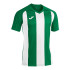 Camiseta Manga Corta Joma Pisa II Hombre/Niño Verde Blanco