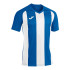 Camiseta Manga Corta Joma Pisa II Hombre/Niño Royal Blanco