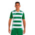 Camiseta Joma Manga Corta Europa V Verde Blanco