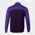 Sudadera Winner II Hombre Morado