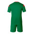 Conjunto Futbol Phoenix Hombre Rojo Verde