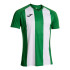 Camiseta de Fútbol Joma Inter Iv hombre Verde Blanco Verde Blanco