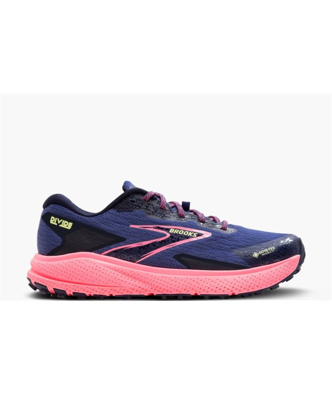 Zapatillas de Trail Brooks Divide 5 GTX Azul...