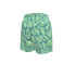 Bañador de Playa Y Piscina Nike Tossed Block Niño Verde