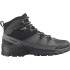 Zapatillas de montaña Salomon Quest Rove Gore-Tex Gris/Negro