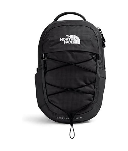Mochila de Montaña The North Face Borealis Mini Negro