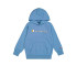 Sudadera Champion Hooded Sweatshirt Hombre Cbu