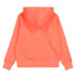 Sudadera Champion Hooded Sweatshirt Hombre Durazno
