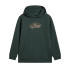 Sudadera Vans Off The Wall Board Pu Green Gables Niño