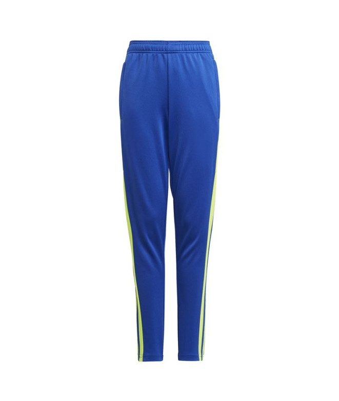 Pantalones de Fútbol Adidas Squadra21 Tr...