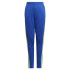 Pantalones de Fútbol Adidas Squadra21 Tr Infantil Azurea