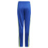 Pantalones de Fútbol Adidas Squadra21 Tr Infantil Azurea